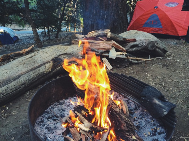 palomar mountain campfire ll simplytart.wordpress.com